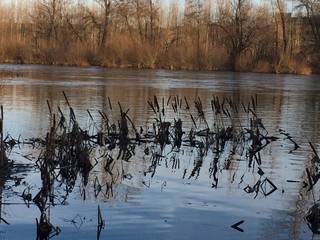 Río