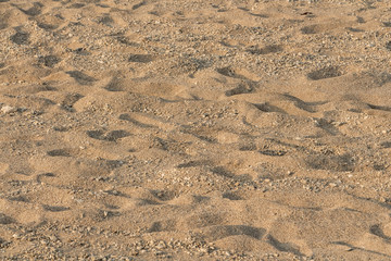 Beautiful horizontal texture of yellow sand with waves and shells is in the photo