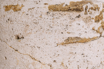 Abstract old background. A cracked cover on the wall