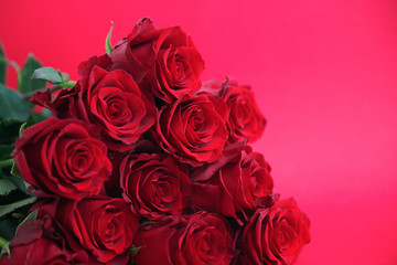 Fototapeta na wymiar Valentine's background, bouquet of red roses, Viva Magenta cplour of the year 2023