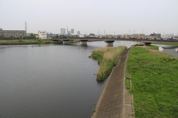 神奈川県　鶴見川