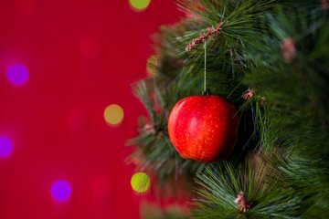 Obraz na płótnie Canvas Vegan Christmas concert. Tree is decorated with fresh fruit. raw Apple on a pine branch on a red background with bokeh. The idea of minimalism and eco-friendly celebration without waste. Copy space