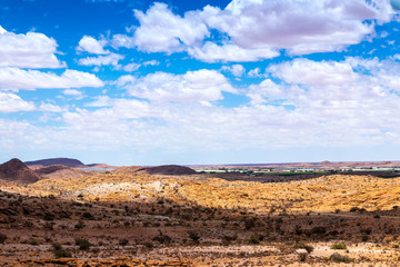 landscape with field and blue sky