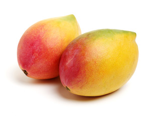 Mango on a white background