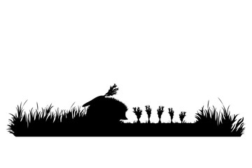 Vector silhouette of hedgehog eat carrot on garden. Symbol of animal, field, farm, destroy, corp, pest. © majivecka