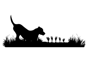 Vector silhouette of dog on garden. Symbol of animal, field, farm, wait, look.