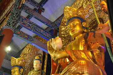 buddha statues in golden color