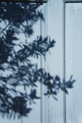 Abstract shadows from tree on blue wooden doors 