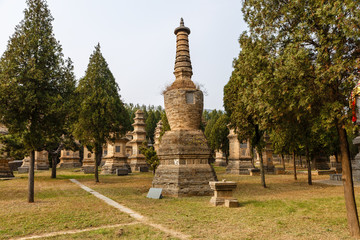 Fototapeta premium Pagoda Forest at Shaolin Temple