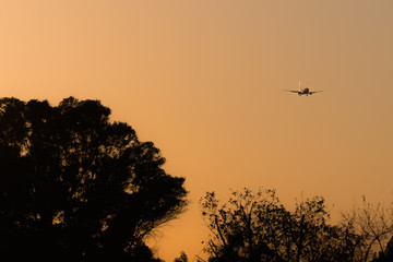 Avión en el atardecer