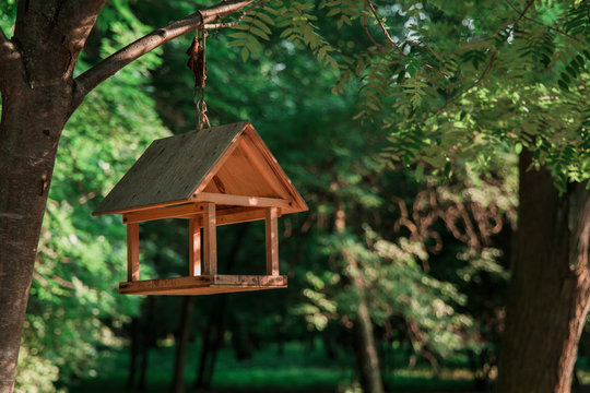 hand made wooden cabin for feeding birds hanging on a tree branches in spring time, blurred unfocused park background, animal care theme wallpaper pattern concept picture with empty copy space