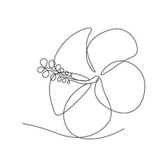 Hibiscus flower in continuous line art drawing style. Minimalist black line sketch on white background. Vector illustration