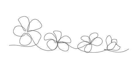 Plumeria-Blumen im Zeichenstil der kontinuierlichen Linienkunst. Minimalistische schwarze Linienskizze auf weißem Hintergrund. Vektor-Illustration © GarkushaArt
