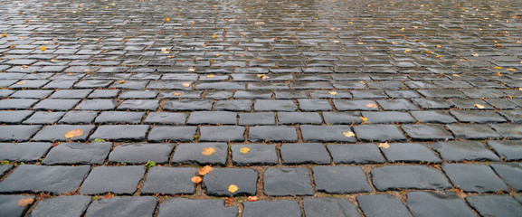 Old cobblestone pavement close-up.