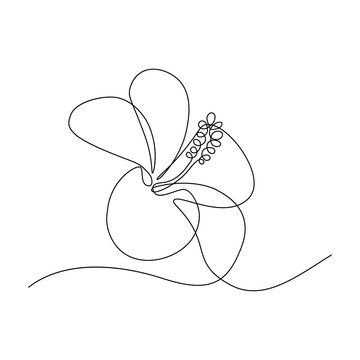 recommend clip art: Hibiscus flower in continuous line art drawing style. Minimalist black line sketch on white background. Vector illustration