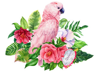 pink parrot and tropical flowerson an isolated white background, watercolor painting, hand drawing