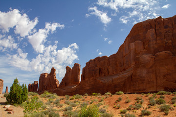 Fototapeta premium désert américain