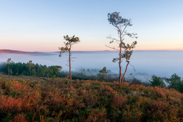 Fototapeta premium le brouillard dans la montage