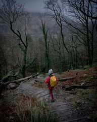 hiker in the forest - cadair idris