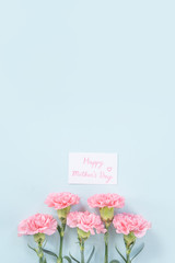 Beautiful, elegant pink carnation flower over bright light blue table background, concept of Mother's Day flower gift, top view, flat lay, overhead