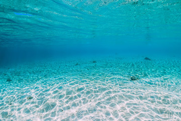 Tropical ocean with sandy bottom underwater in Bahamas