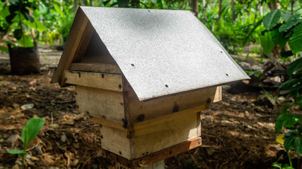Artificial wooden house of stingless bee / Trigona sp in the coffe plantation in Purworejo, Central Java