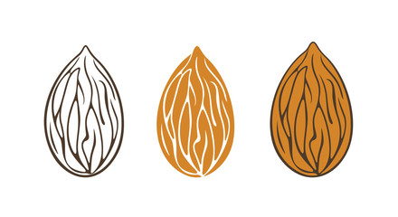 Almond logo. Isolated almond on white background