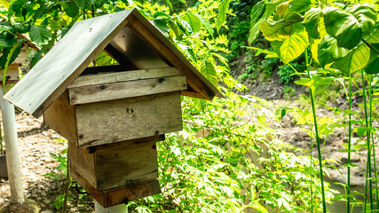 Artificial wooden house of stingless bee / Trigona sp in the coffe plantation in Purworejo, Central...