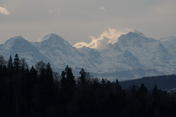 Swiss alps seen from Jura 
