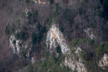 Fototapeta na wymiar Limestone cliff in Jura mountains Switzerland