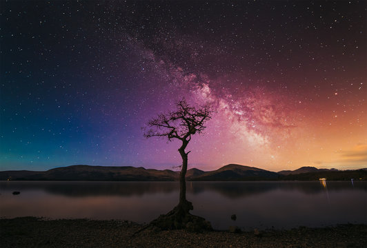 A lone tree with milky way at the shore of Loch Lomond. Trossachs National Park, Scotland, UK