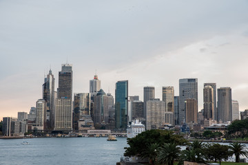 Obraz premium Sydnej