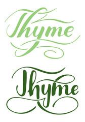 Fototapeta premium Wektor ręcznie napisany tekst tymianek na białym tle. Kuchnia zdrowe zioła i przyprawy do gotowania. Napis z pisakiem pędzla z zawijasami. Pismo odręczne na baner, plakat, etykietę produktu