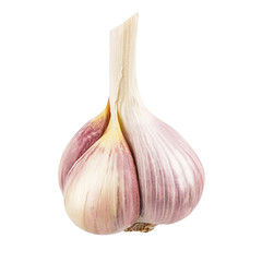 Garlic isolated on white background with clipping path