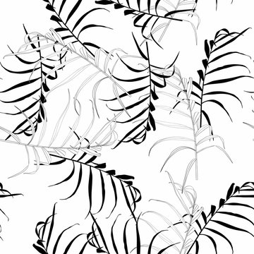 Palm leaves silhouette on the white background. Seamless pattern with tropical plants. Hand Drawn textures. Ideal for web, card, poster, cover, invitation, brochure. Isolated.