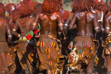 Hamer people, Omo valley, Naciones, Ethiopia, Africa