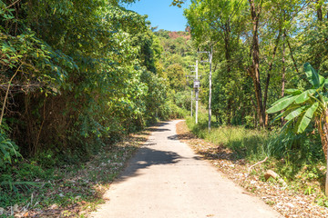 Fototapeta premium Small narrow roads lead through the forests of the small island of Ko Phayam. There is no car traffic so that all goods are transported by scooter
