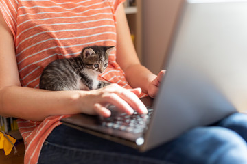 Woman and kitten working remotely from home