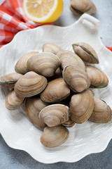 Closeup of a white plate with raw uncooked vongole clams, vertical shot, selective focus