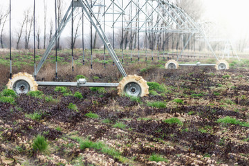 machine for automatic irrigation in beet field