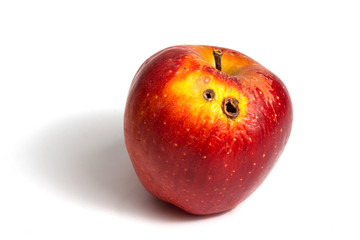 Red worm apple with two rot holes on a white background