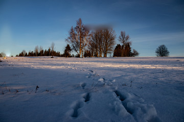 Dawn on the frozen mountains, Jizera Mountains