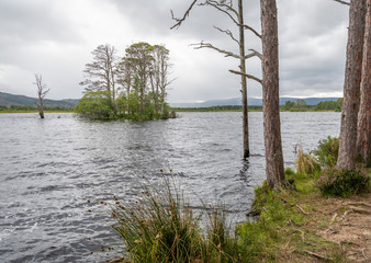 Island in Loch Mallachie, Highland, Scotland