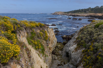 scenic view of Point Lobos rugged coastline from South Shore Trail (Carmel-By-The-Sea, California, USA)