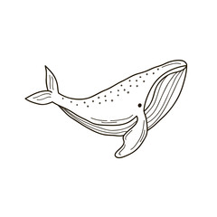 Whale. Vector linear drawing of a whale. Children's illustration