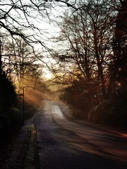Sunrays, shining down on to the road 