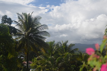 Fototapeta na wymiar Ciel Tropical Guadeloupe - West Indies Sky Guadeloupe
