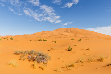 Fototapeta na wymiar Sahara Desert, Moroccan desert landscape with blue sky