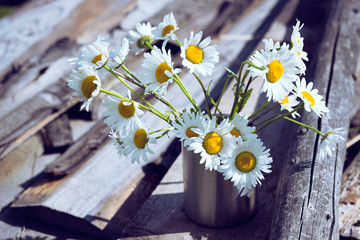 Obraz premium daisies at the cup