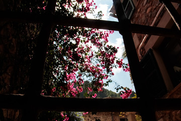 First Stock Photo Submissions